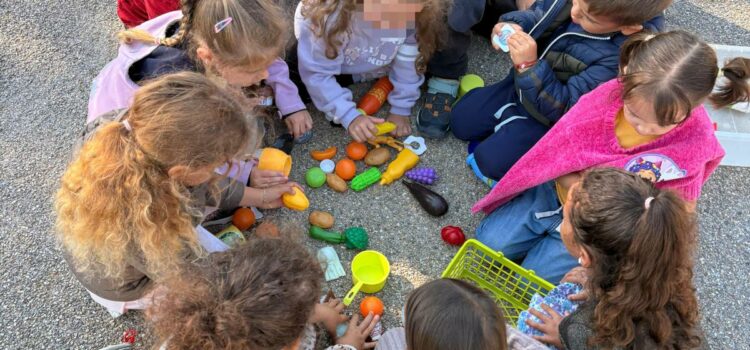 Protégé : Sept/déc => De la graine à L&rsquo;arc en ciel